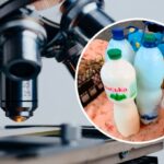 “Розсадник бактерій”. Хімік показав, що “живе” у молочних продуктах з базару: ВІДЕО